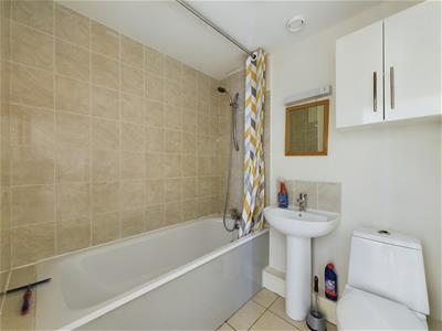 Picture 11